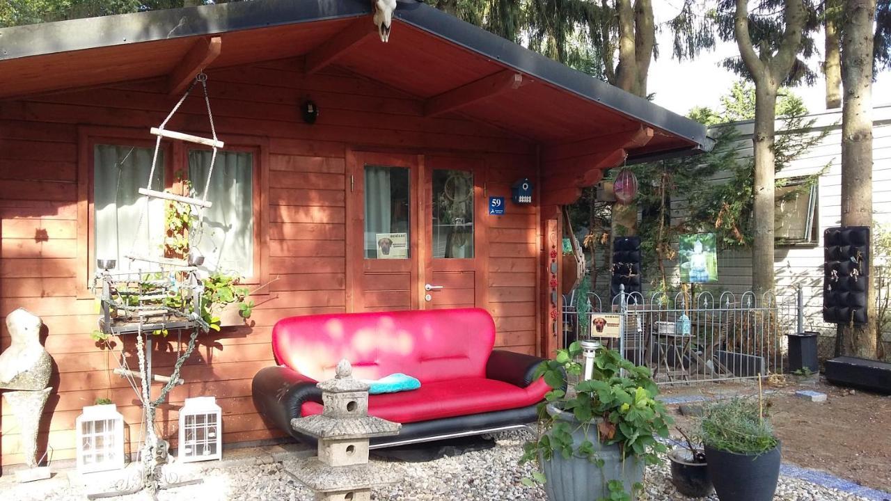 Chalet Op Een Rustig Park In De Natuur Putten Exteriér fotografie